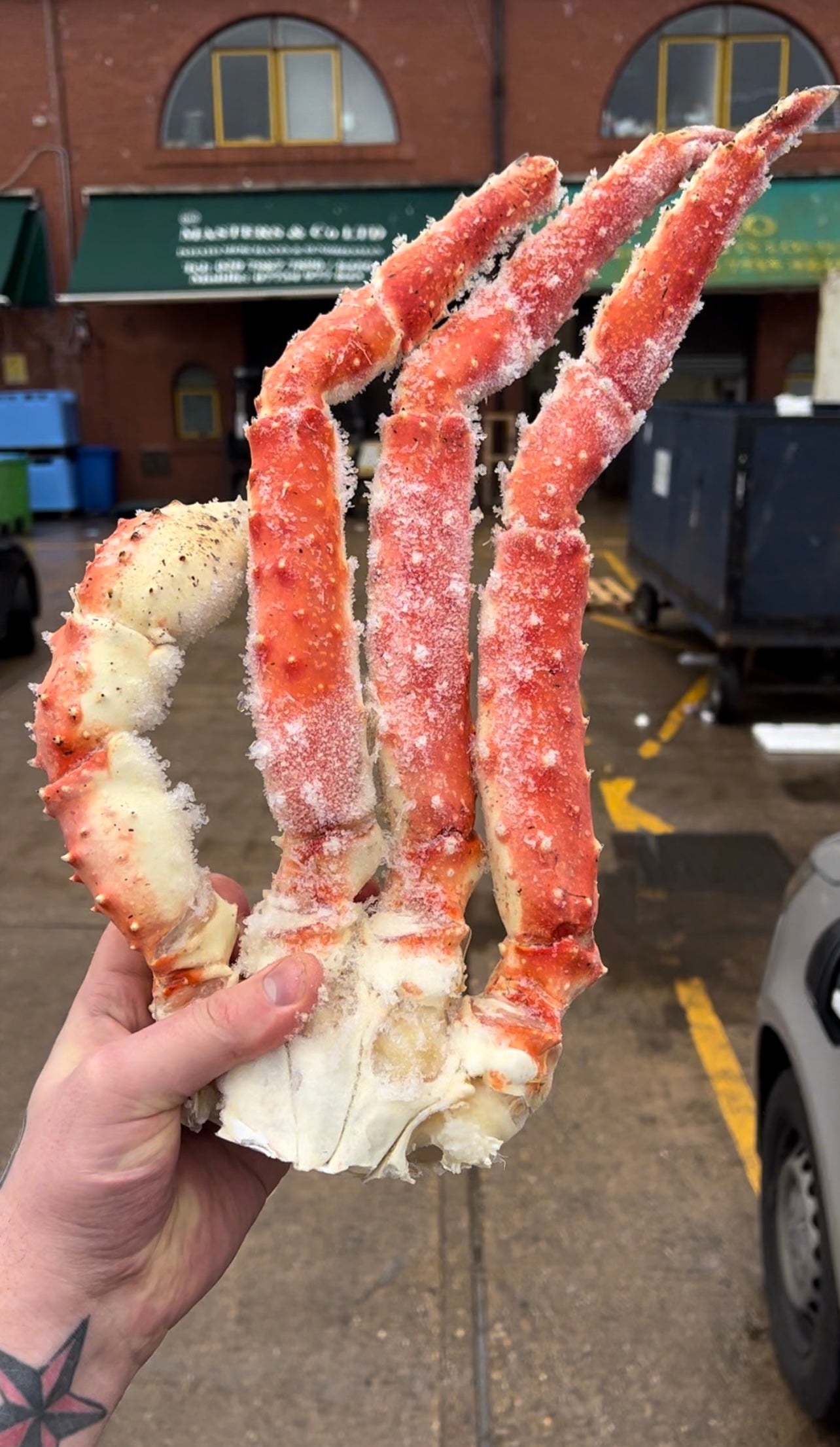 Alaskan King Crab Claws – Life Of Fish