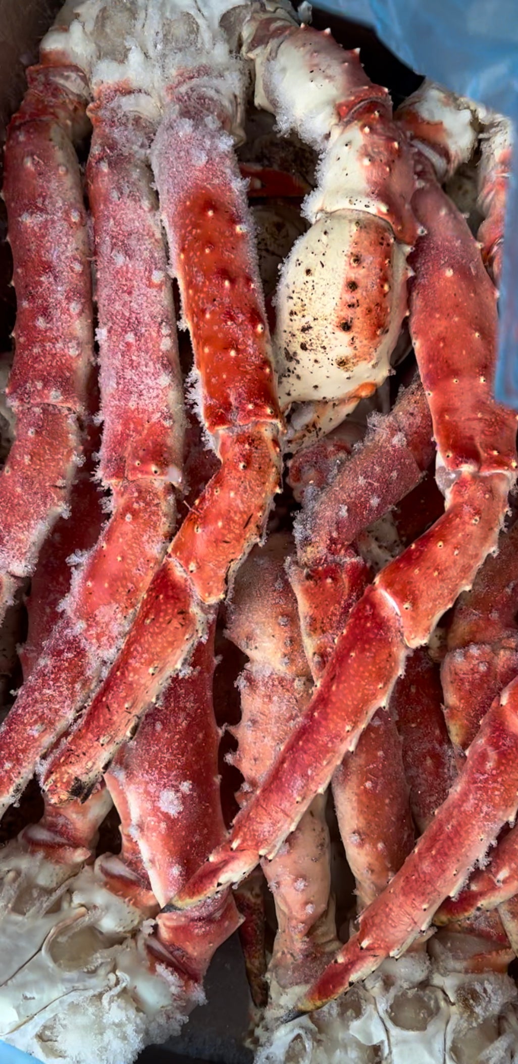 Alaskan King Crab Claws