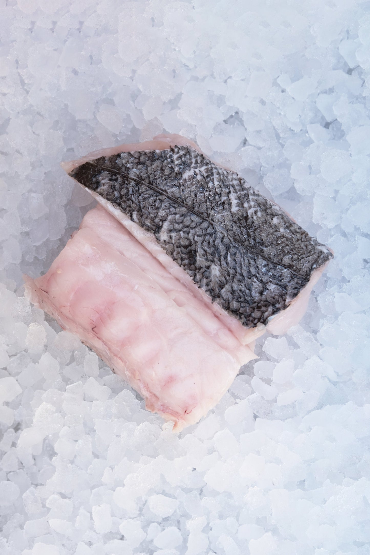 Hake Fillet