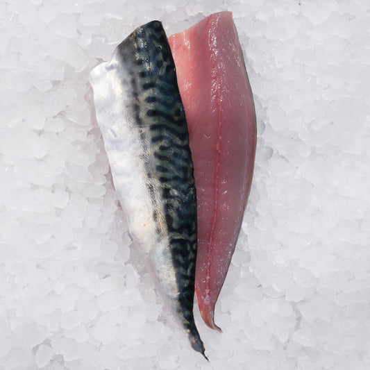 Mackerel, Filleted