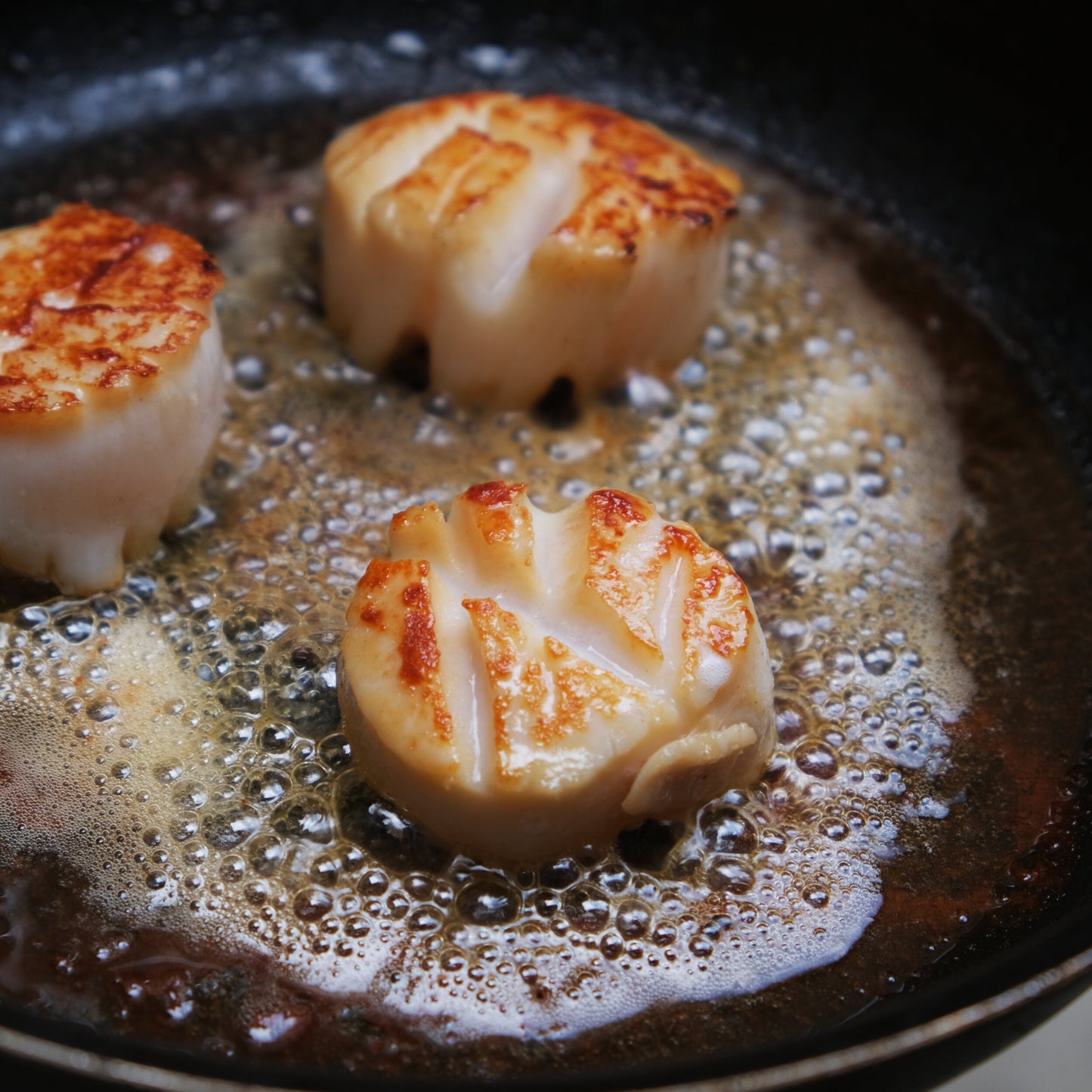 Scallops