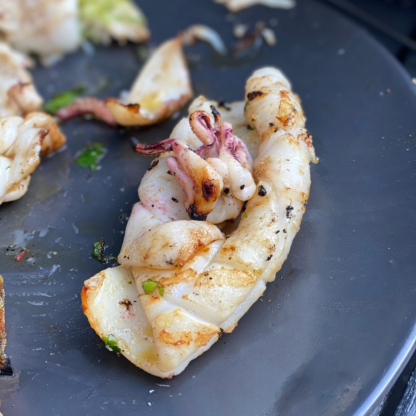 Squid