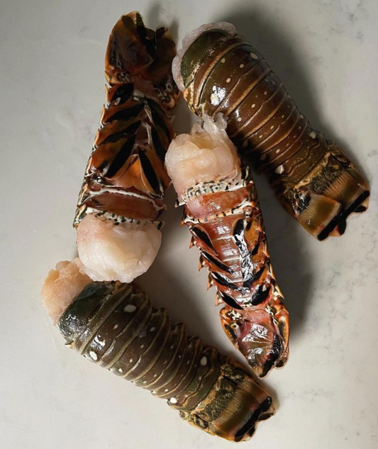 Lobster Tails