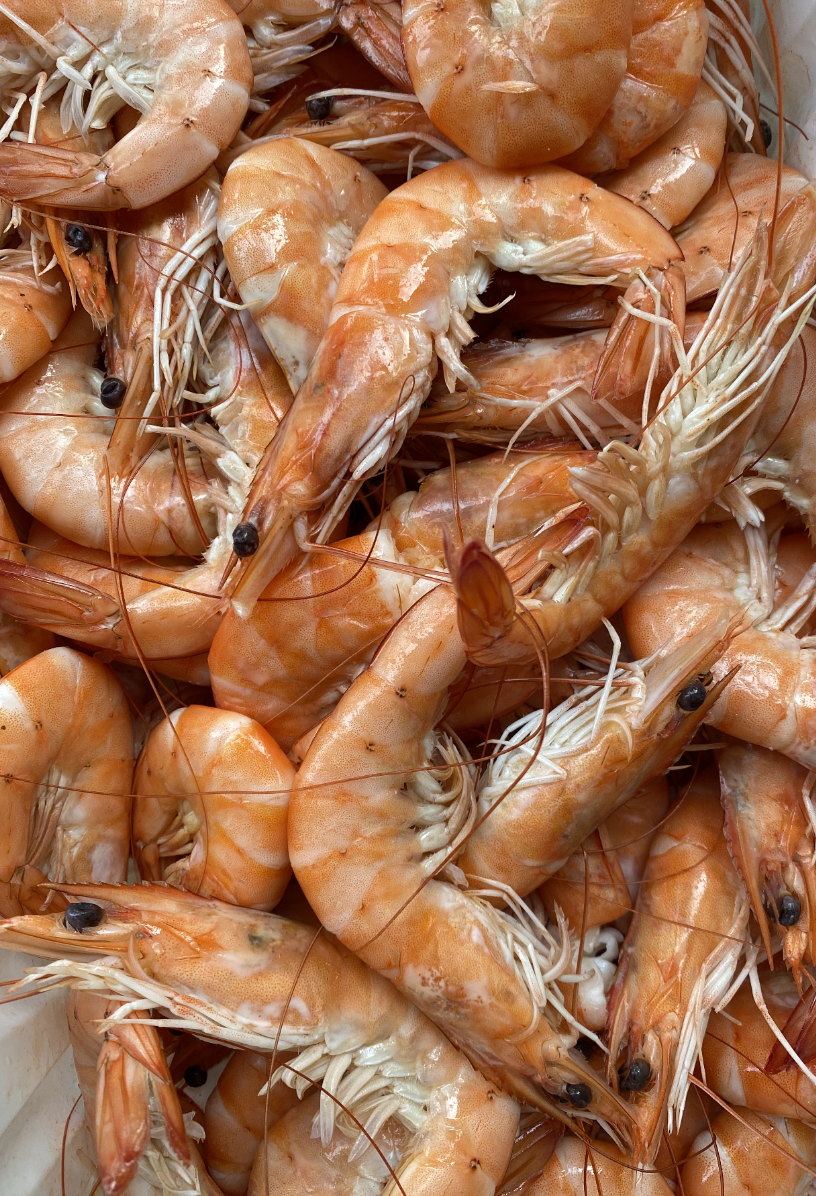 King Prawns