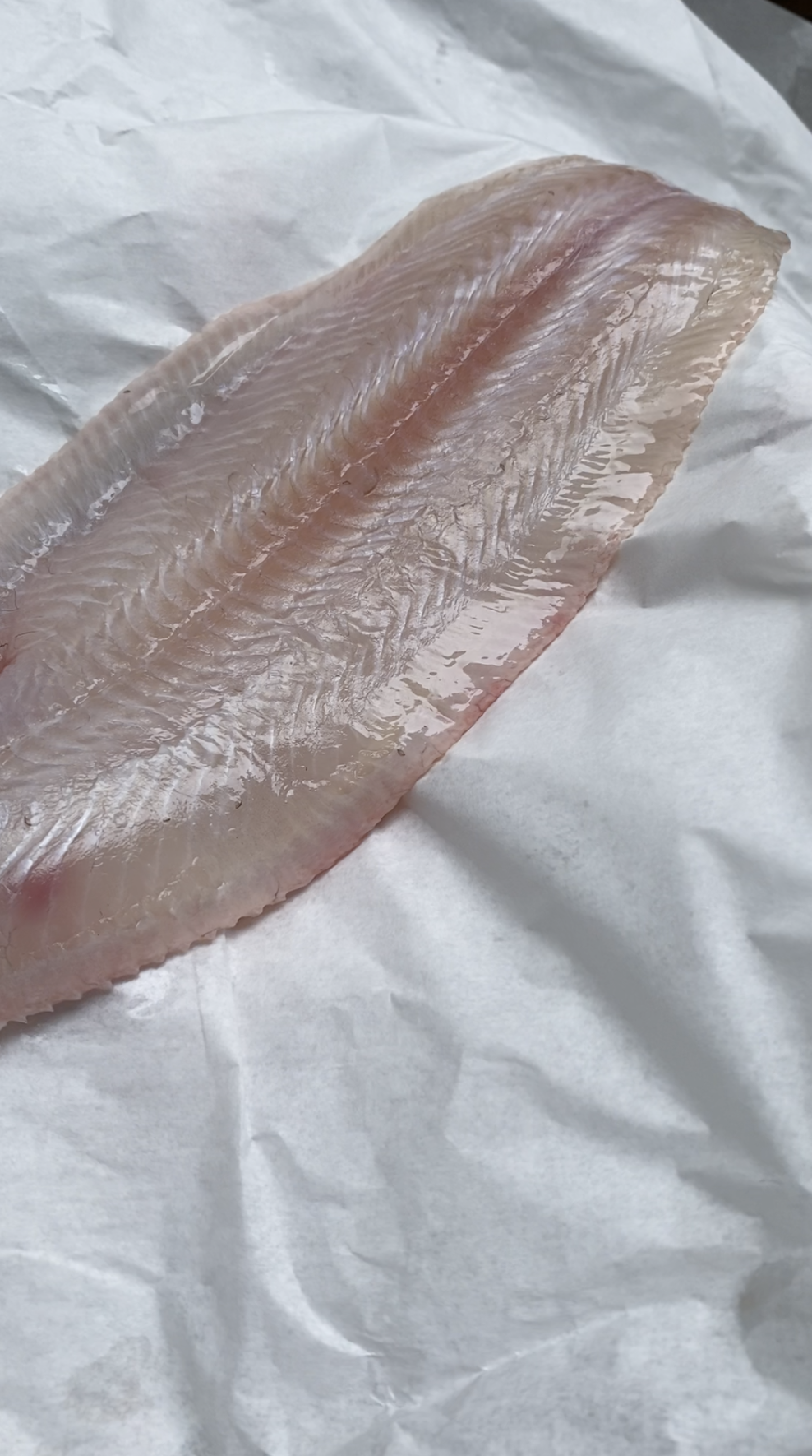 Dover Sole