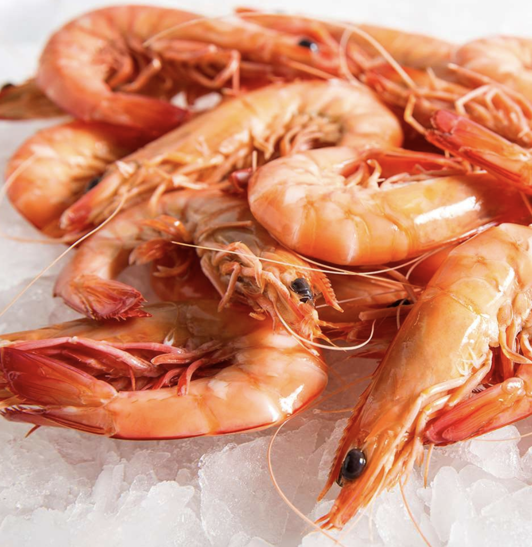 Cooked King Prawns