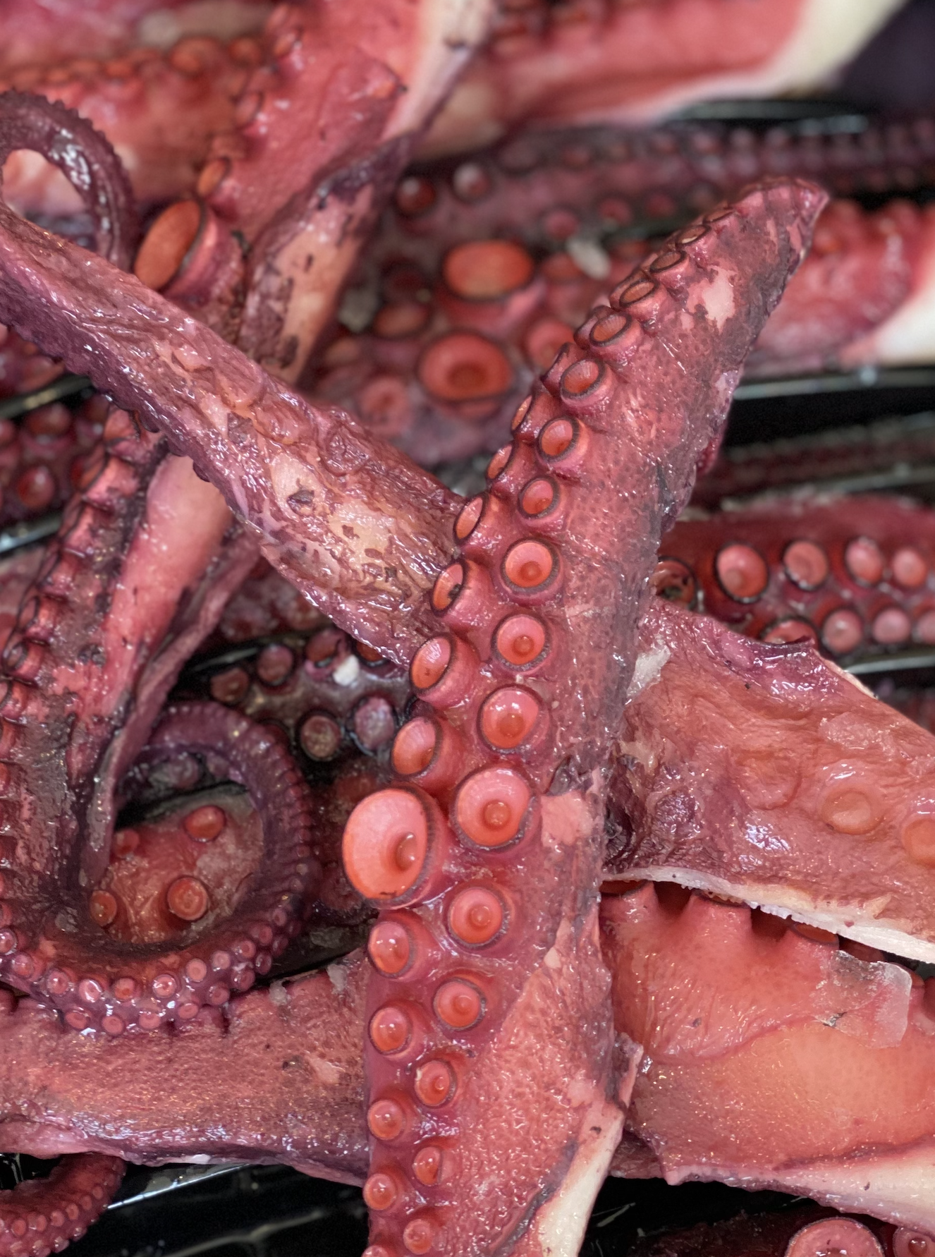 Cooked Octopus Tentacles