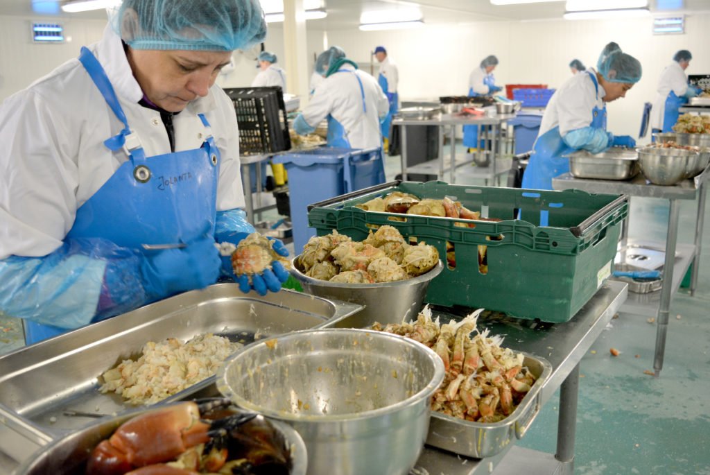 Handpicked White Cornish Crab Meat