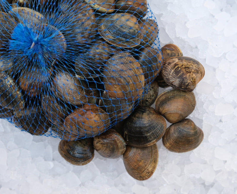 Shellfish & Crustaceans
