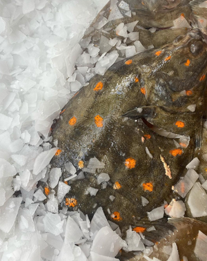 Whole Fish