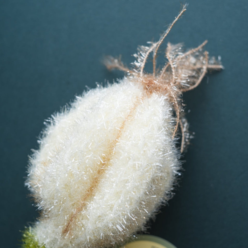 Garlic Dish Scrubber