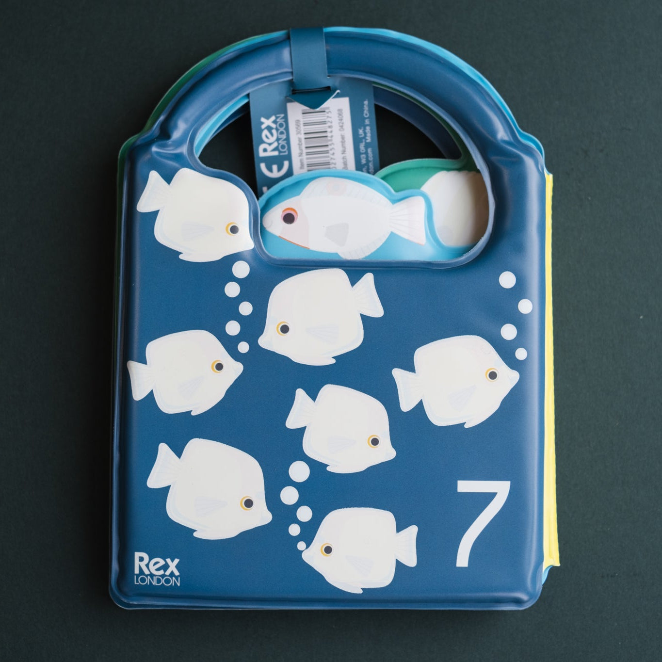 Colour Changing Bath Book