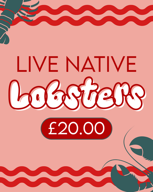 Limited Native Lobster Offer