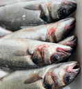 Sea Bass - Whole