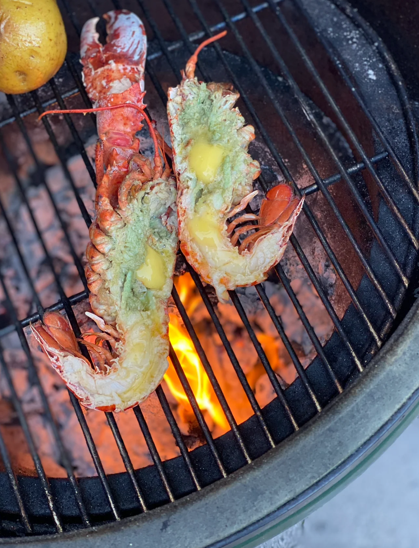 Limited Native Lobster Offer