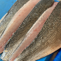 Sea Bass, Fillets
