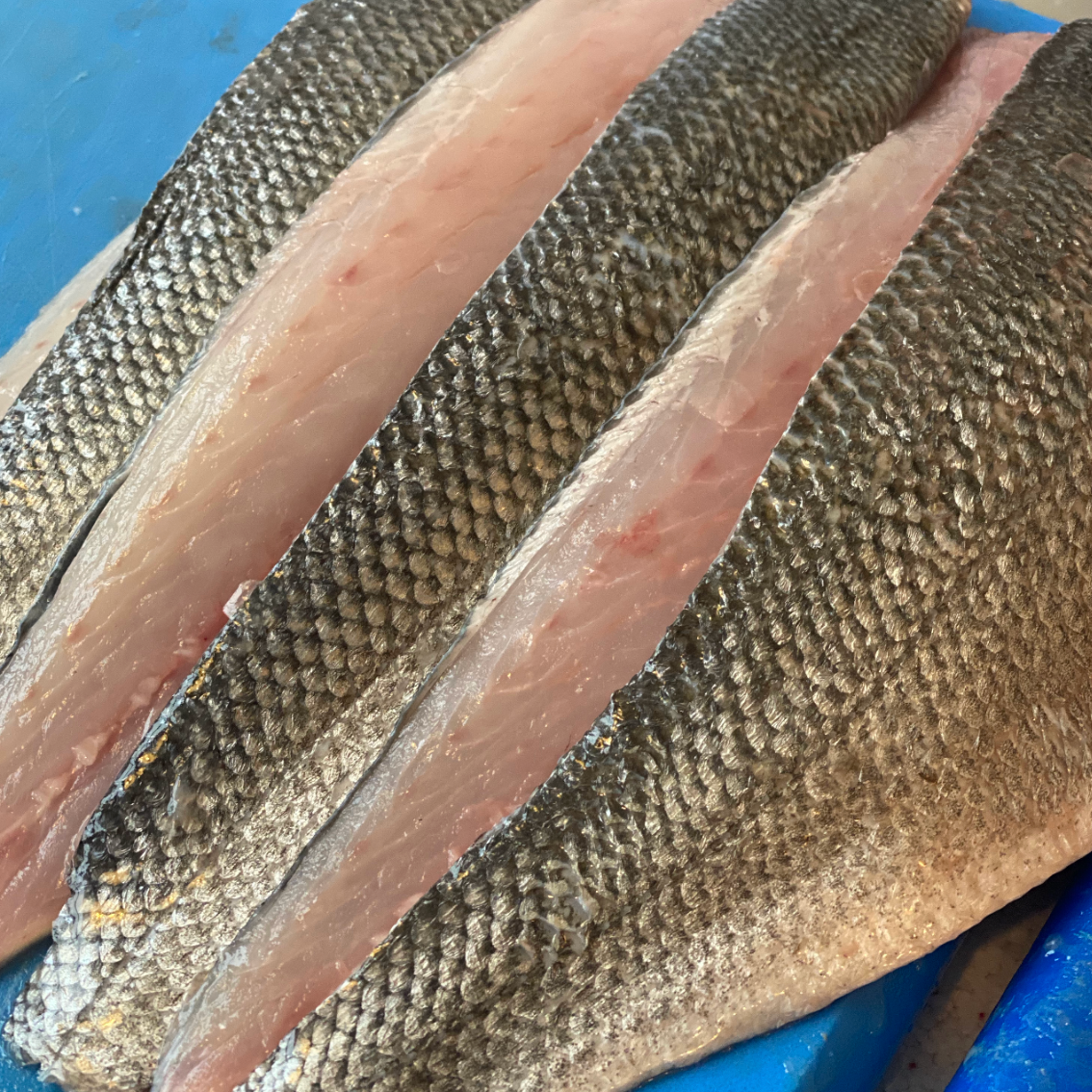 Sea Bass, Fillets