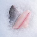 Sea Bream, Fillets