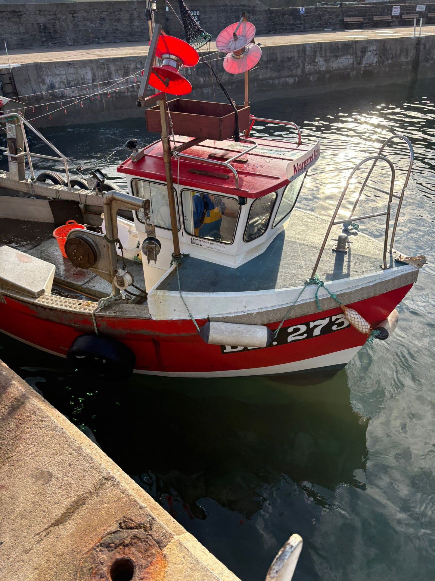 Limited Native Lobster Offer