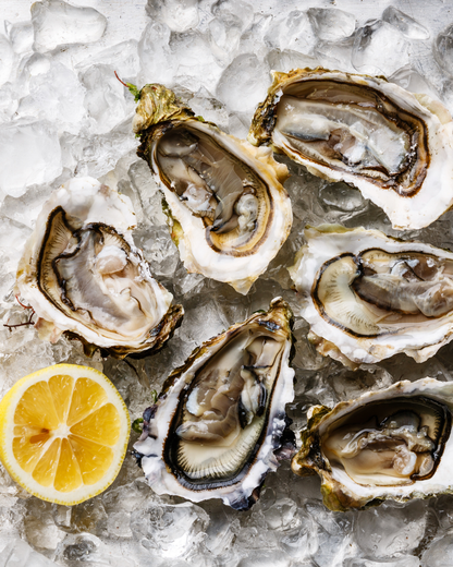 Oysters