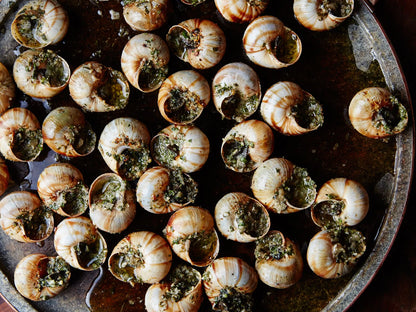 Escargot Tray (Snails in Garlic Butter)