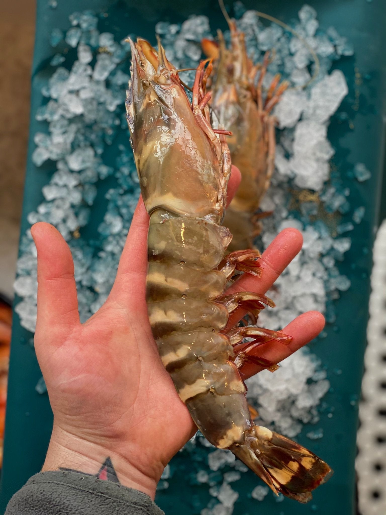 XXL Wild Black Tiger Prawns