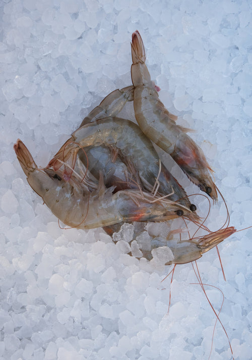 King Prawns