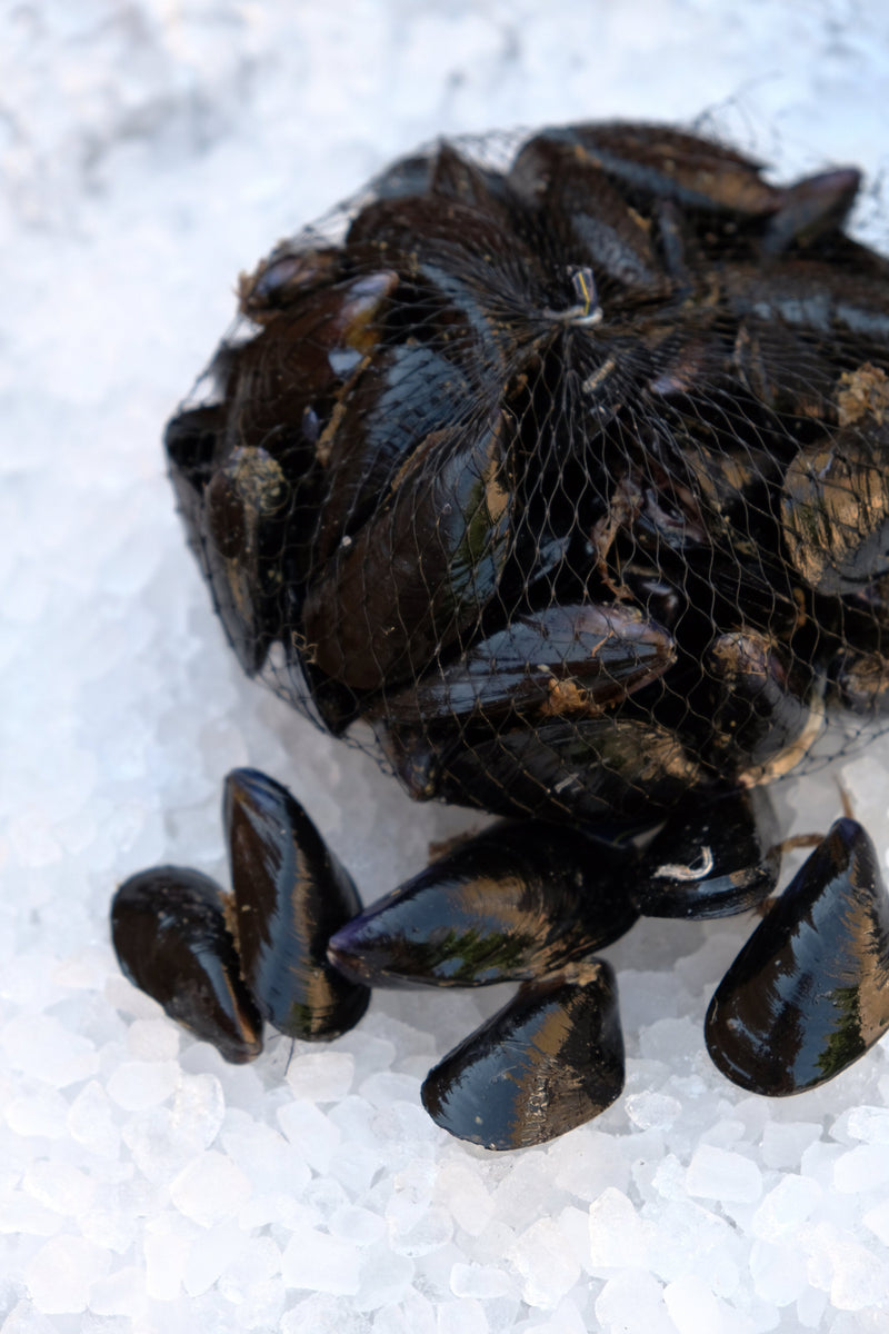 Shellfish & Crustaceans