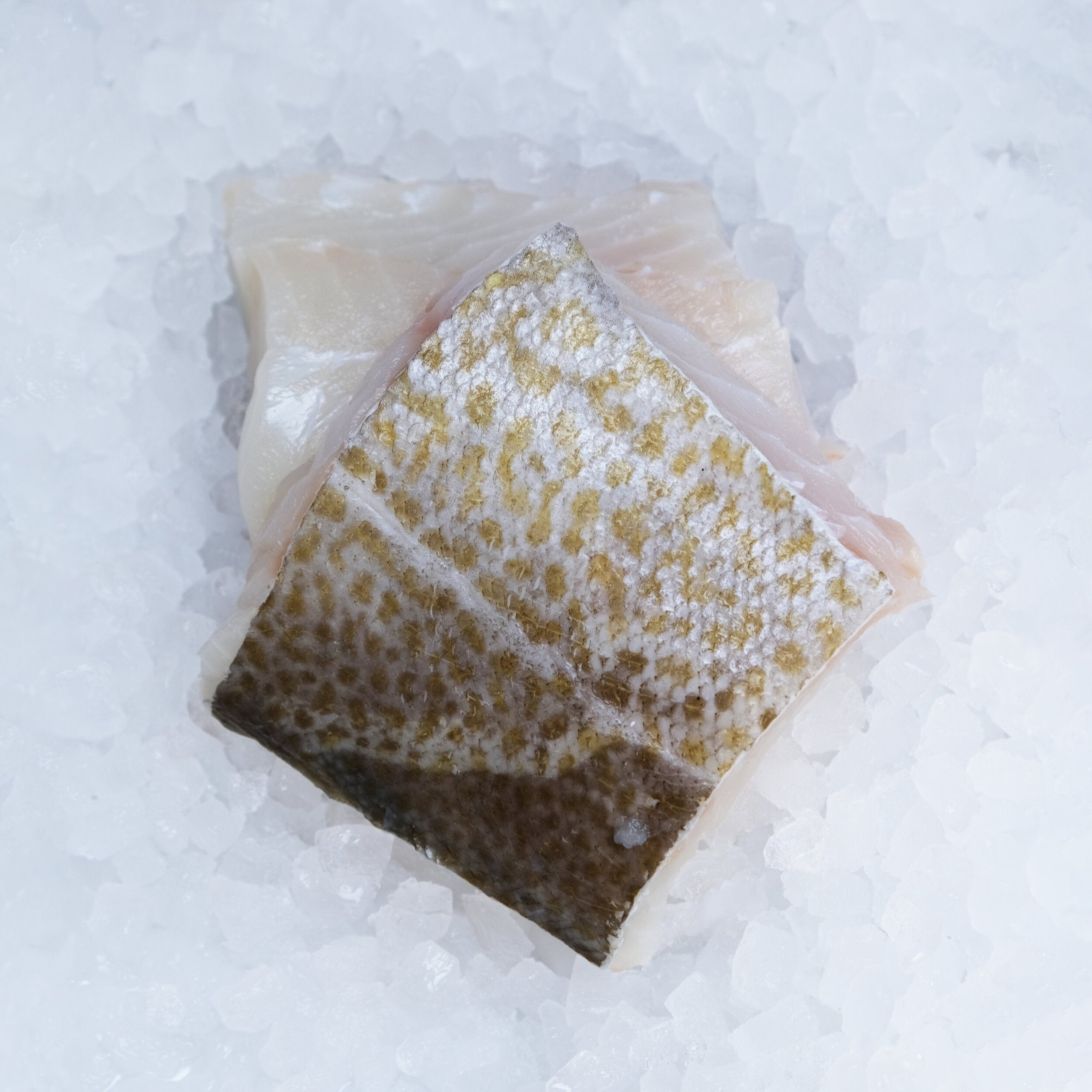 Cod Fillet