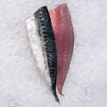Mackerel, Filleted