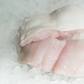 Halibut Fillet