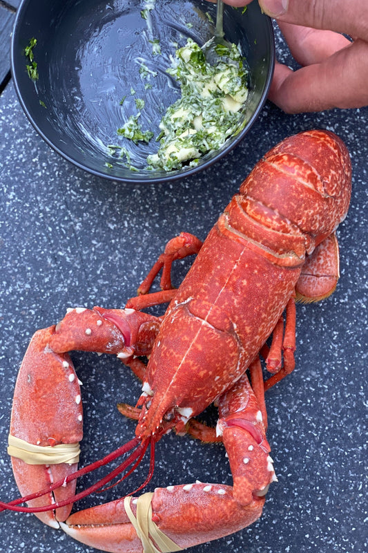 Medium Cooked Lobster