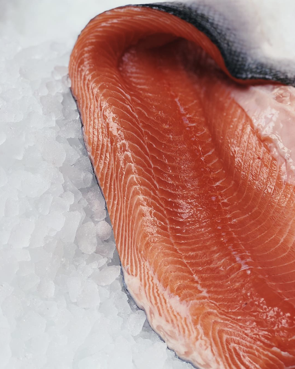 Salmon Fillet