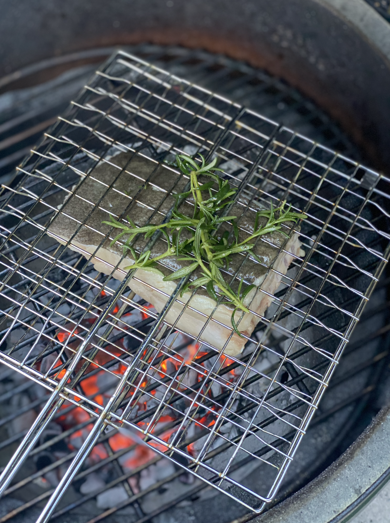 Wild Turbot