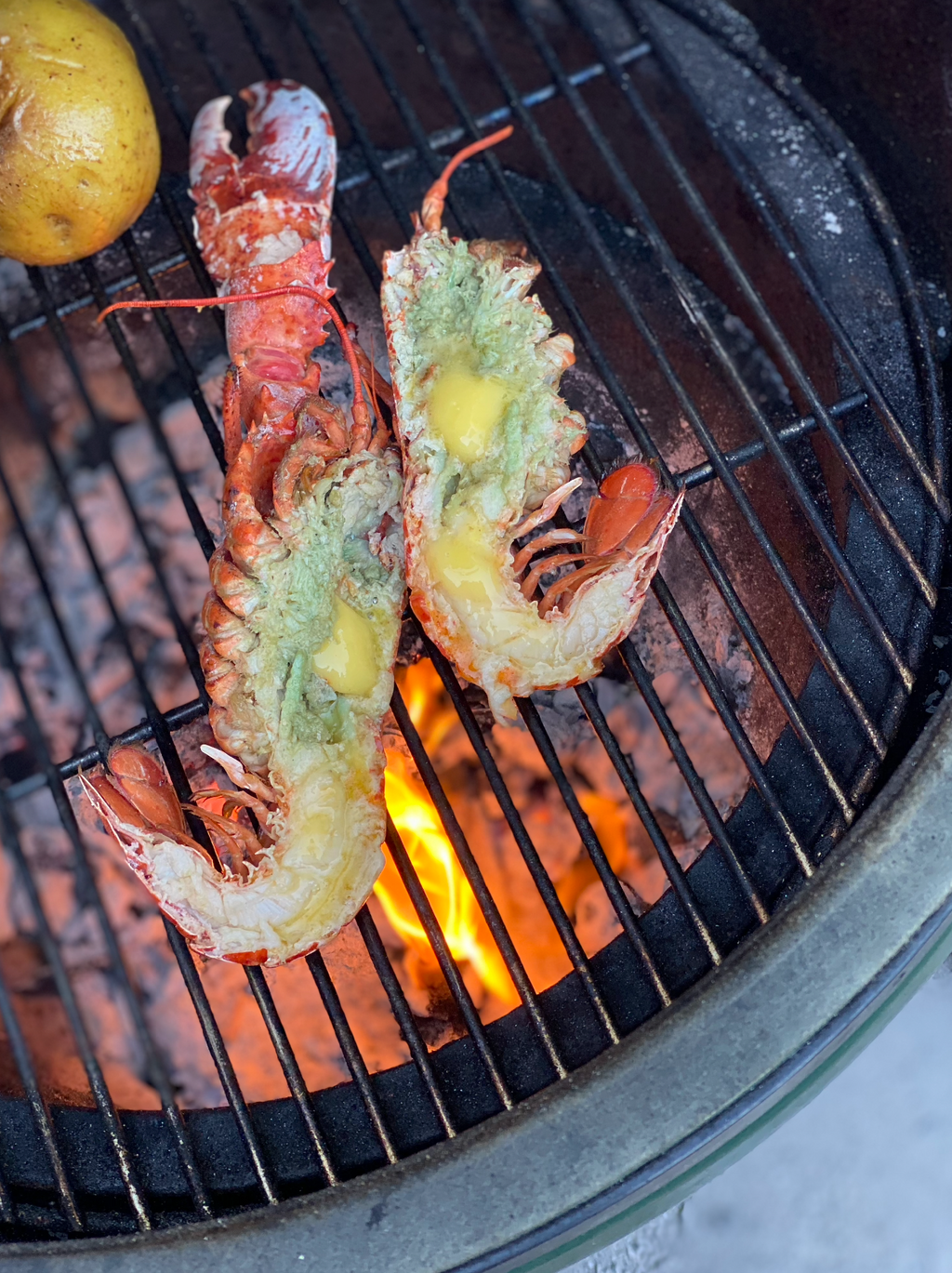 Live Lobster