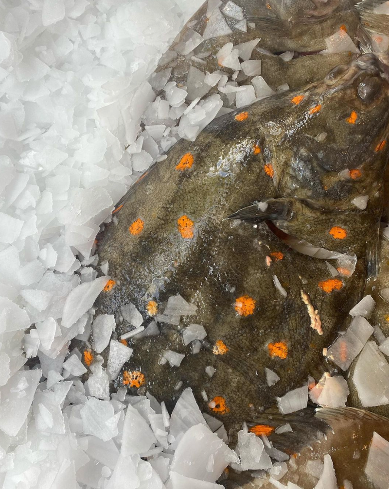 Whole Fish