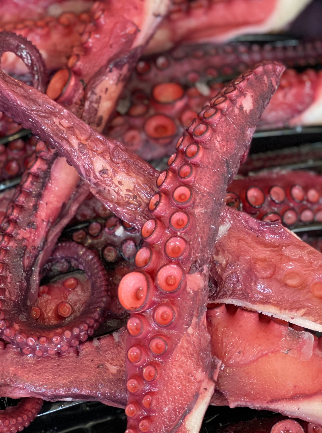 Cooked Octopus Tentacles x2