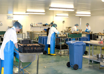 Handpicked White Cornish Crab Meat